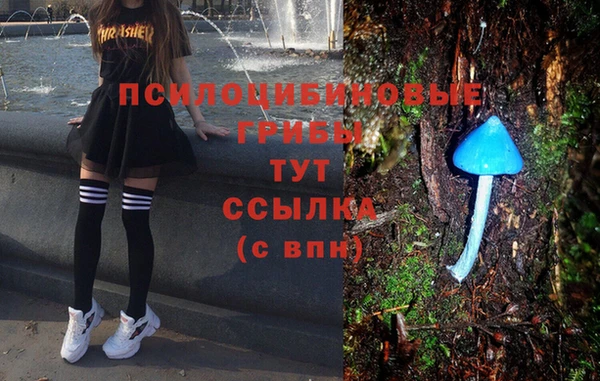 спиды Алексин
