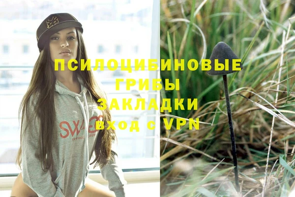 гидропоника Алзамай