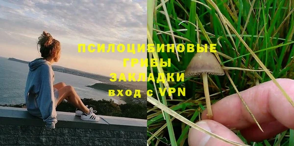 таблы Алексеевка