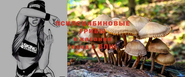 таблы Алексеевка