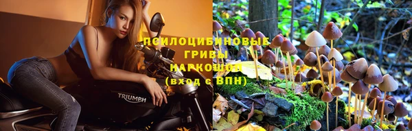 таблы Алексеевка